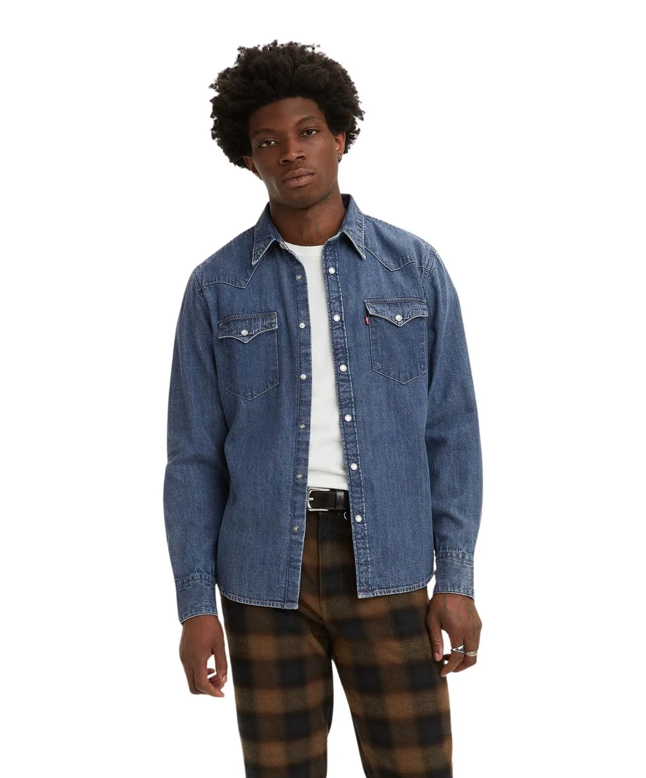 Herren Hemd Barstow Western von Levis in Lower Haight