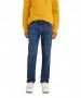 Herren Jeans 502 von Levis in Cross The Sky