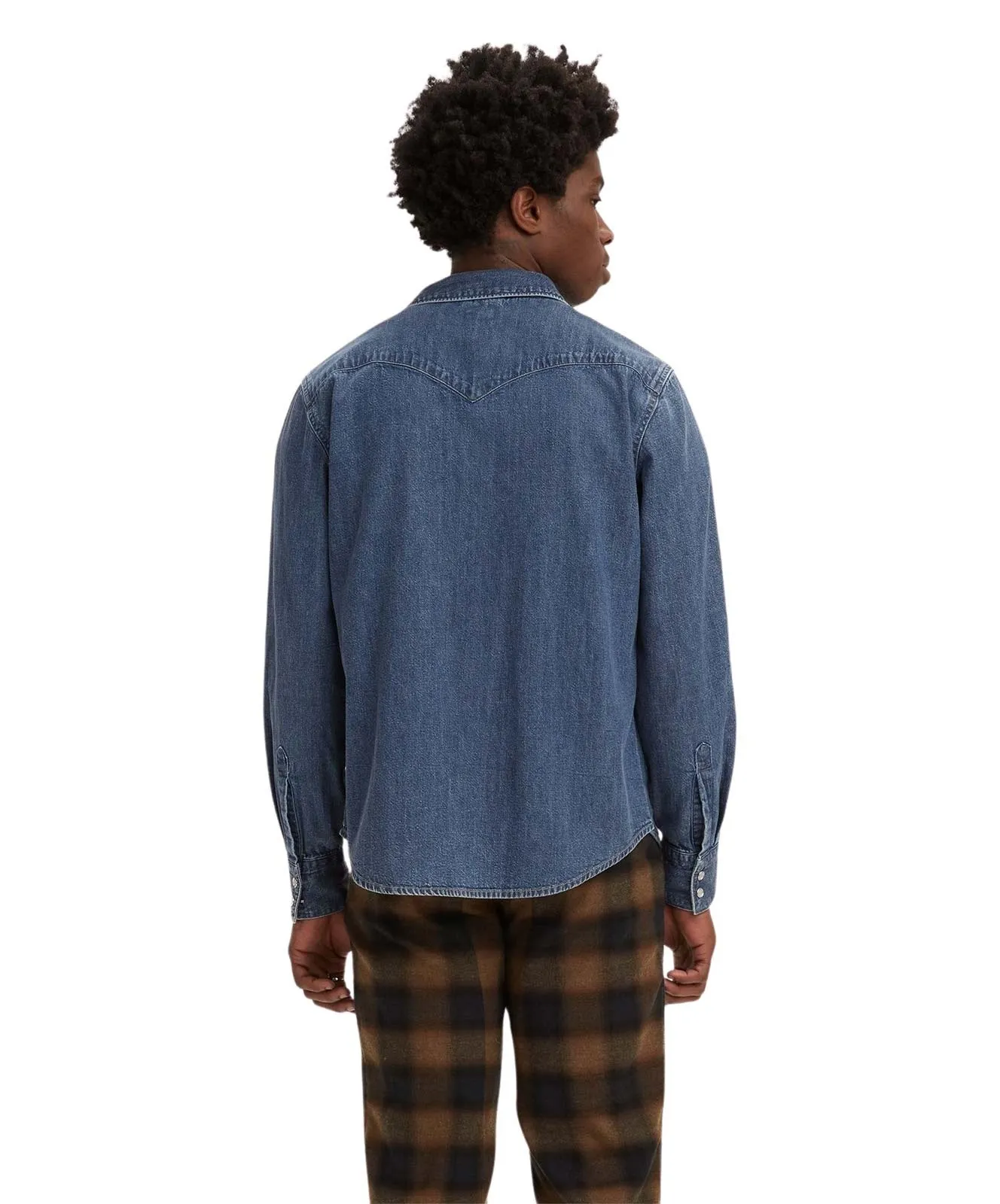 Herren Hemd Barstow Western von Levis in Lower Haight