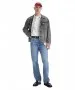 Herren Jeans 501 von Levis in Best Of Love