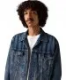 Herren Jacke Trucker Jacket von Levis in Rockridge