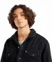 Herren Jacke Sherpa Trucker von Levis in Berk