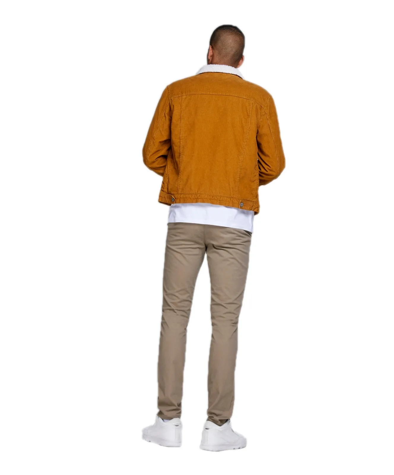 Herren Hose Marco von Jack & Jones in Beige