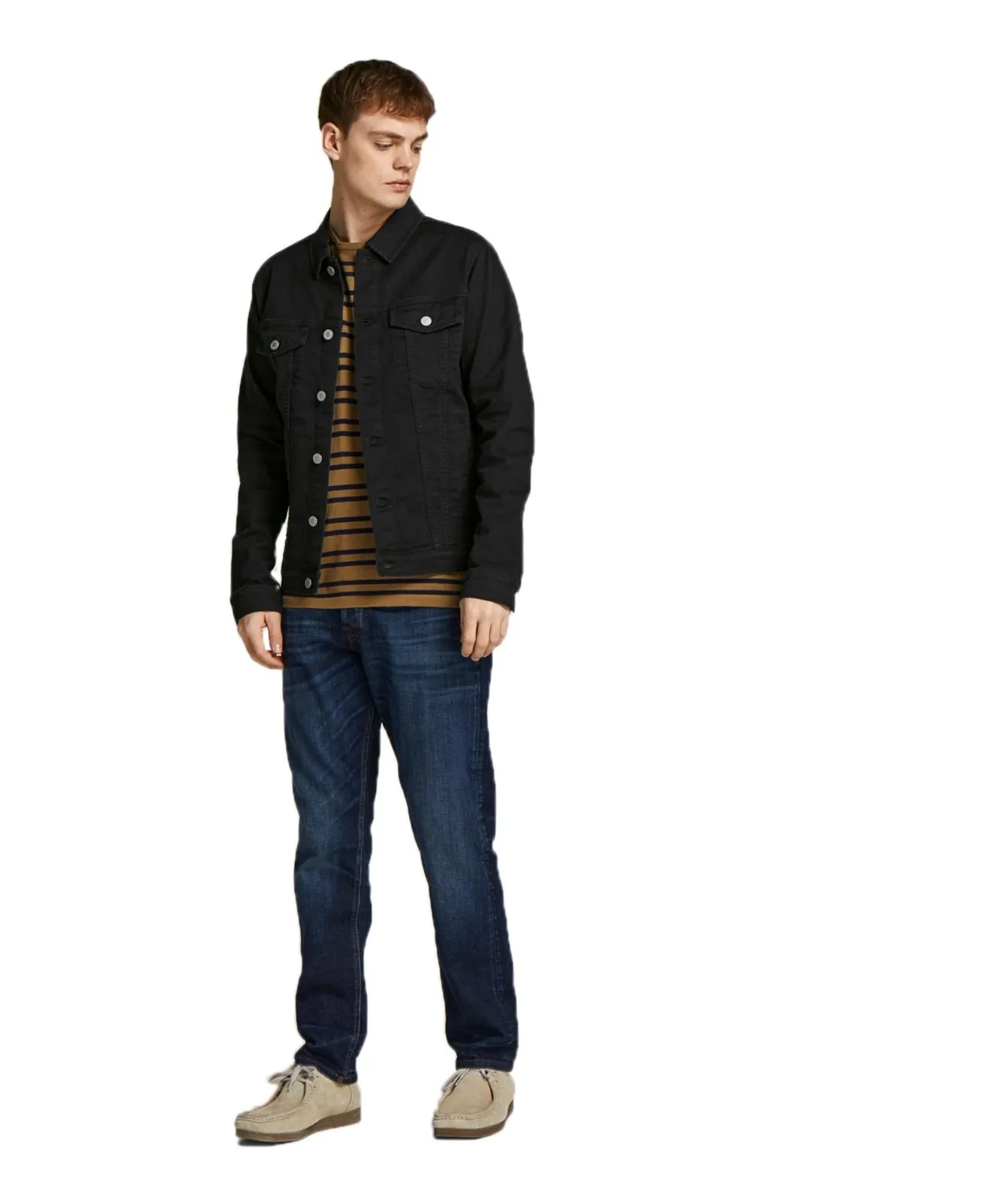 Herren Jacke Alvin von Jack & Jones in Black